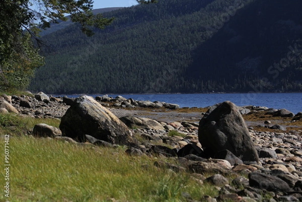 Obraz The coastline of the White Sea, in summer, in July, in the Murmansk region, in the north.Tourism, deserted place of rest