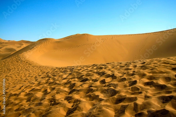 Fototapeta Walking on the ridge of the dune