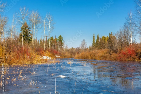 Obraz Spring Siberian landscape