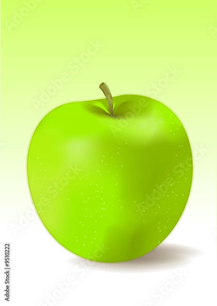 Obraz Pomme Granny Smith