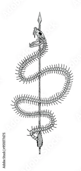 Obraz Arrow pierce snake skeleton illustration