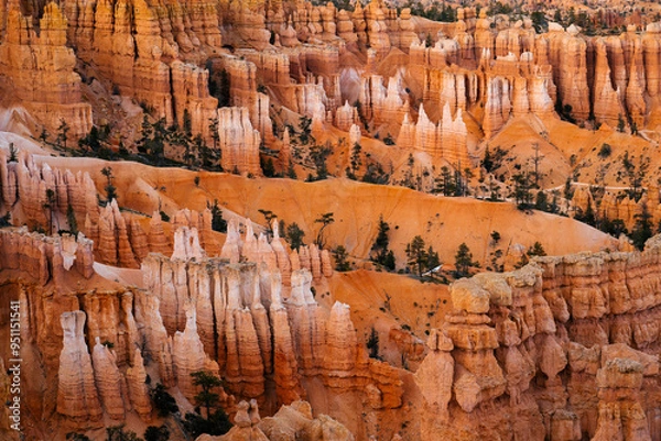 Obraz Bryce Canyon Hoodoos