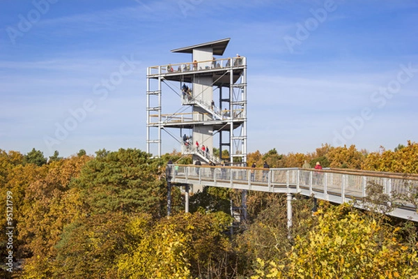 Obraz Canopy Walkway, Beelitz, Brandenburg