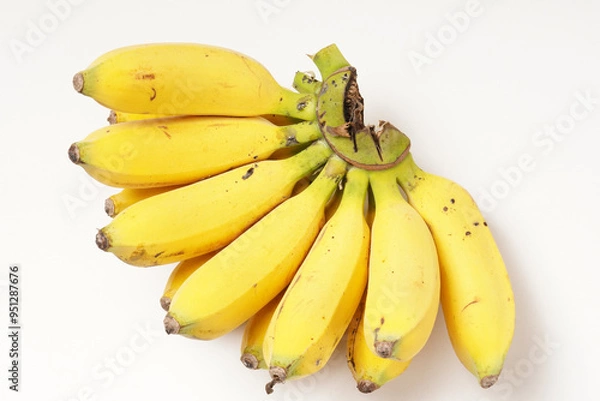Fototapeta One large bunch of ripe Raja bananas (Musa acuminata), with a vibrant yellow color, photographed against a white background.