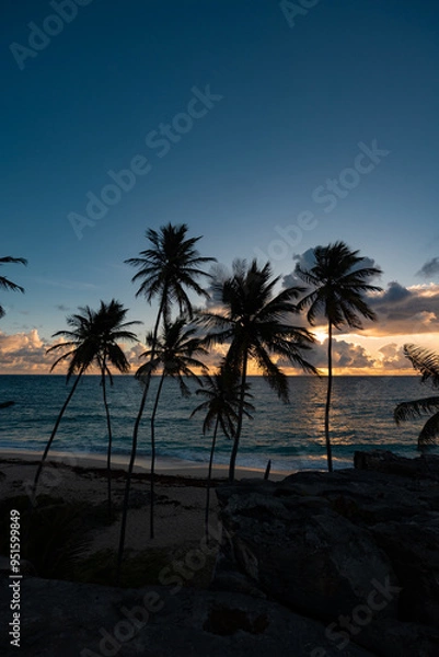 Obraz sunrise on the beach