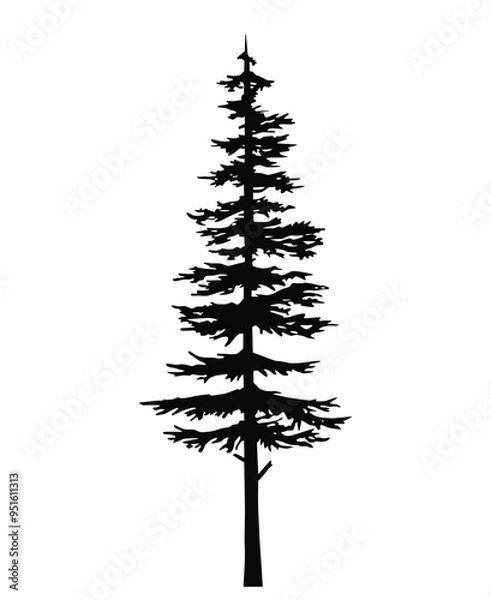 Fototapeta tree pine silhouette, cypress evengreen vector, cedar forest wood illustration, conifer tree logo template, tattoo  design, white and black drawing illustration, icon tree template