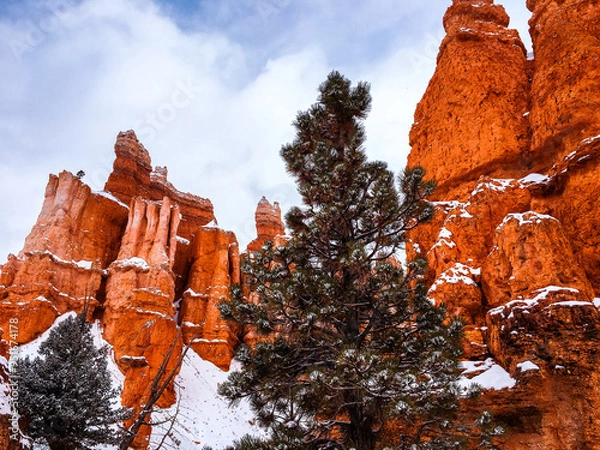 Obraz Snow scene colorful cliffs with red rock and stone in Bryce Canyon National Park