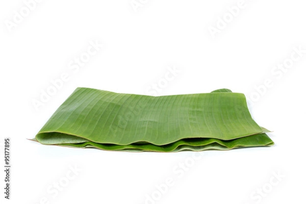 Obraz Banana leaf fold on white background