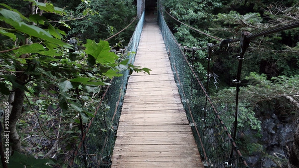 Obraz Puente colgante