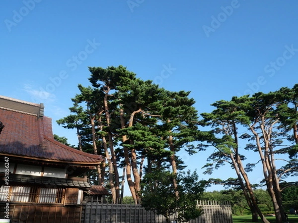 Fototapeta 五稜郭　函館奉行所