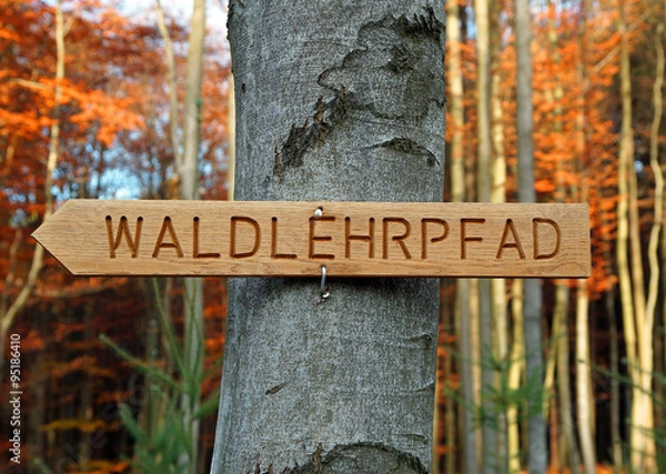Obraz Waldlehrpfad Tafel - Schild