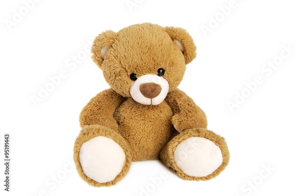 Obraz Brown teddy bear
