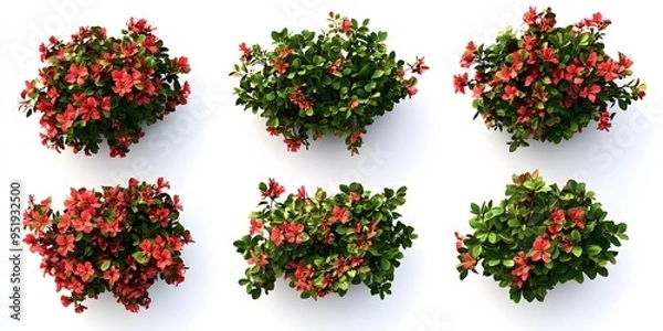 Fototapeta Bright and Colorful Shrubs in a Digital Illustration