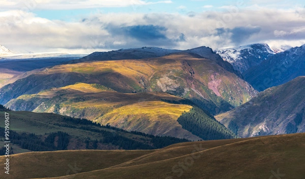 Obraz landscape in the morning