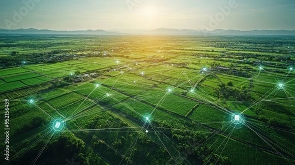 Fototapeta Aerial view of a vast agricultural landscape with interconnected smart farming technology under a beautiful sunset.