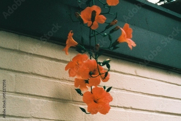 Obraz 한국의 풍경