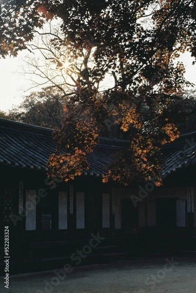 Obraz 한국의 풍경