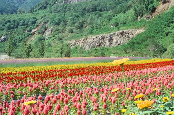 Obraz 한국의 풍경