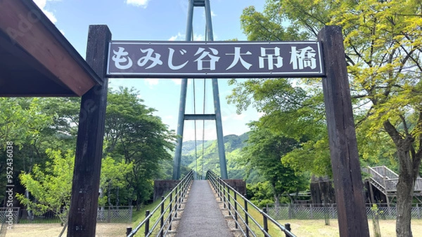 Obraz もみじ谷大吊橋　深緑　初夏