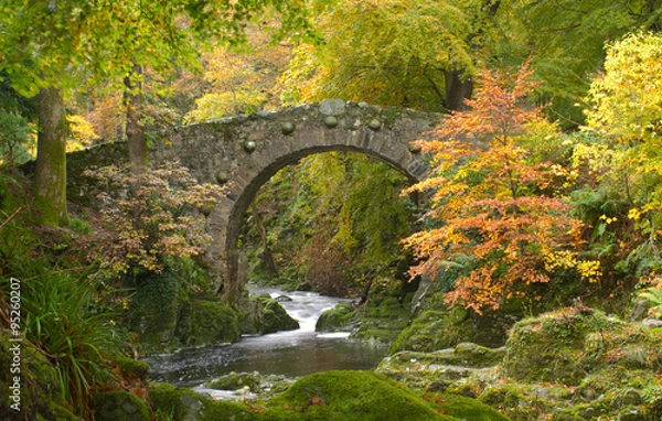 Obraz Foley's Bridge