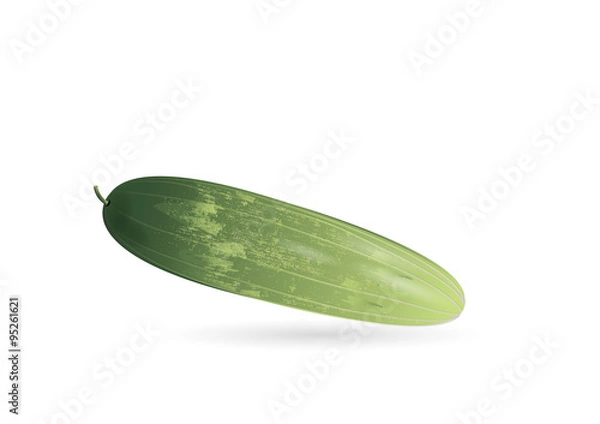 Fototapeta Cucumber on white background