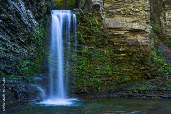 Obraz Flowing Forest Waterfall
