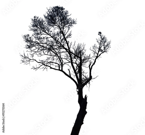 Obraz Black tree on white background