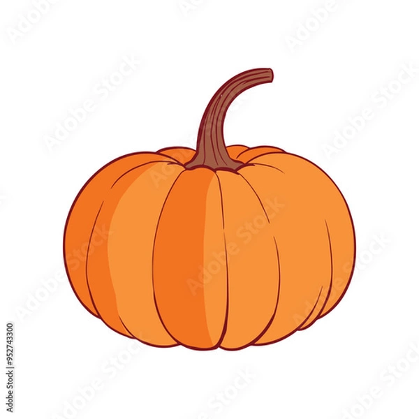 Obraz Ripe orange pumpkin isolated on white background. Cucurbita pepo. Fall harvest gourds. Healthy organic food concept. Vector vegetables illustration in flat style.