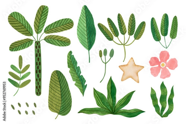 Fototapeta Set of tropical plants watercolor illustrations isolated on white background in folk art style.