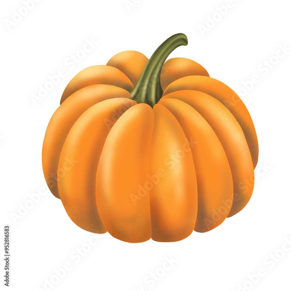 Obraz Hand drawn pumpkin illustration 