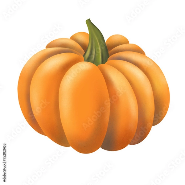 Obraz Hand drawn orange pumpkin illustration
