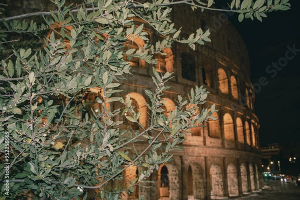 Fototapeta Colisée de Rome