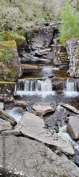 Obraz Waterfall in the forest