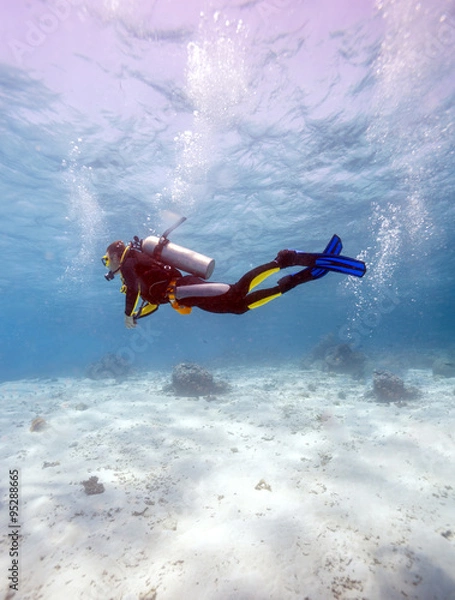 Obraz Silhouette of Scuba Diver near Sea Bottom