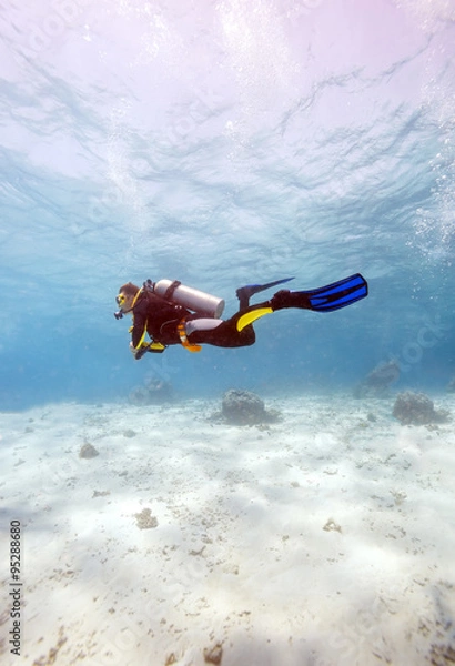 Obraz Silhouette of Scuba Diver near Sea Bottom