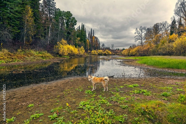 Obraz Hunting grounds