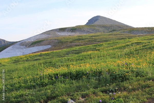 Obraz Караташский перевал, горная тундра. Кузнецкий Алатау