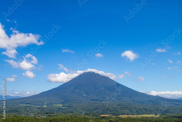 Fototapeta 北海道ニセコの羊蹄山