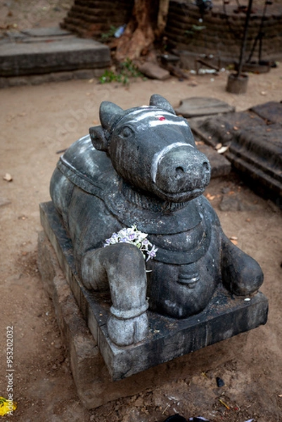 Fototapeta POLONNARUWA, SRI LANKA - JULY 16, 2024 : A stone carved cow statue at the oldest Hindu shrine at Polonnaruwa in Sri Lanka known as Siva Devale No.2. It was built by King Rajaraja l (985 - 1014 AD).