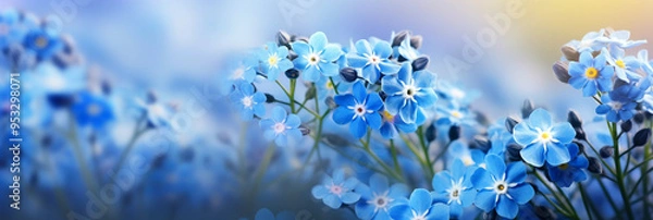 Fototapeta panorama spring background forget-me-not flowers