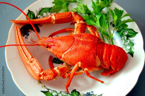 Obraz Red Boiled cancer with parsley on plate