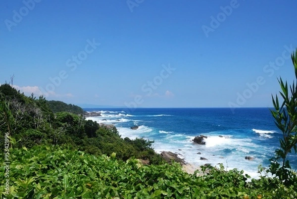 Fototapeta 南紀の綺麗な海