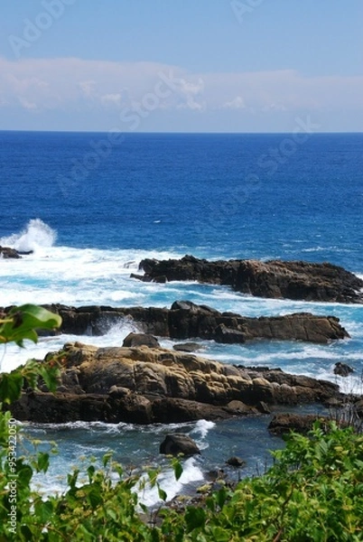 Fototapeta 南紀の綺麗な海