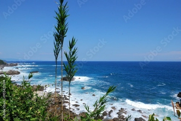 Fototapeta 南紀の綺麗な海