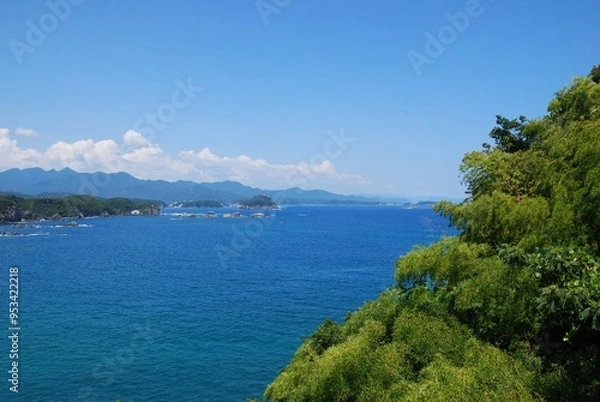 Fototapeta 南紀の綺麗な海