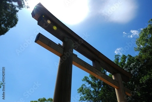 Fototapeta 神社の大鳥居
