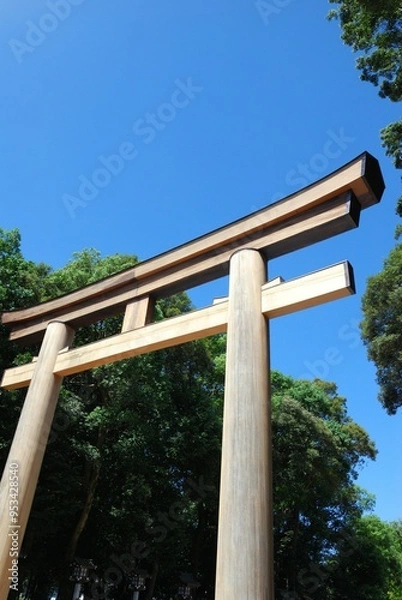 Fototapeta 神社の大鳥居
