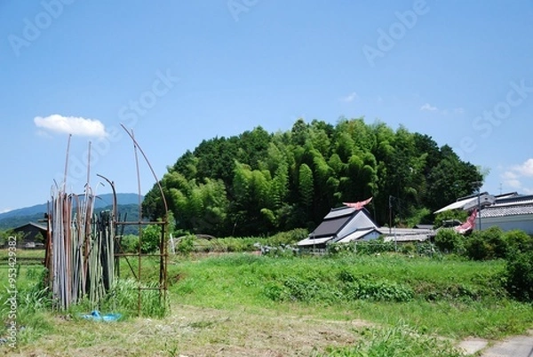 Fototapeta 田舎の風景