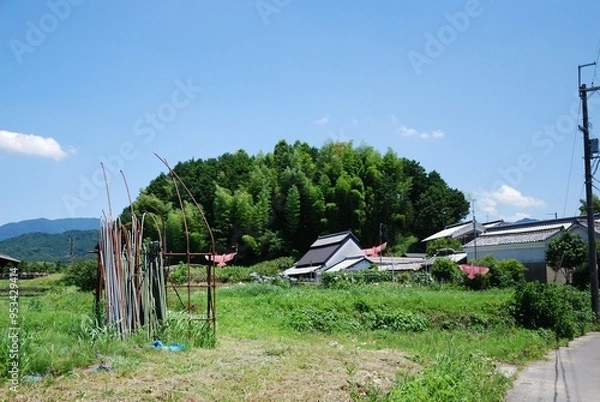 Fototapeta 神社仏閣の建造物