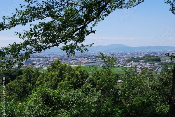Fototapeta 飛鳥の風景